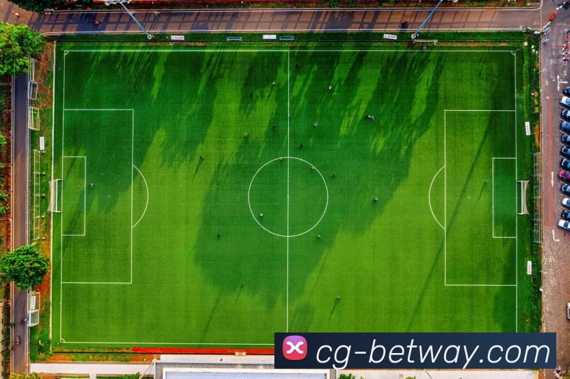 必威BETWAY官网APP 体育赛事宣传图